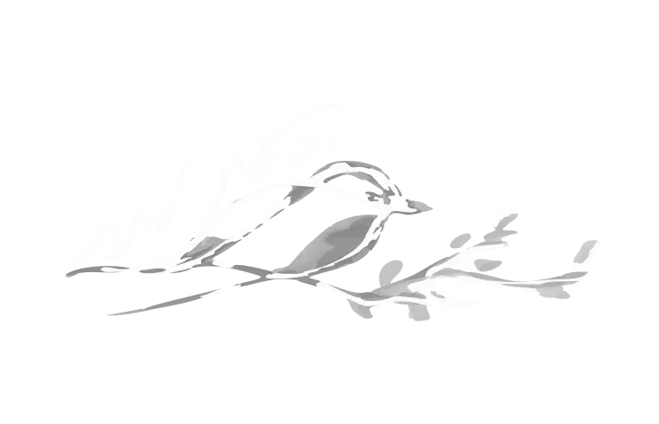 ifatmatat-logo.webp